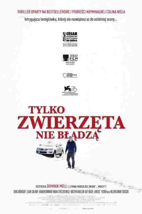 Tylko zwierzęta nie błądzą oglądaj online za darmo