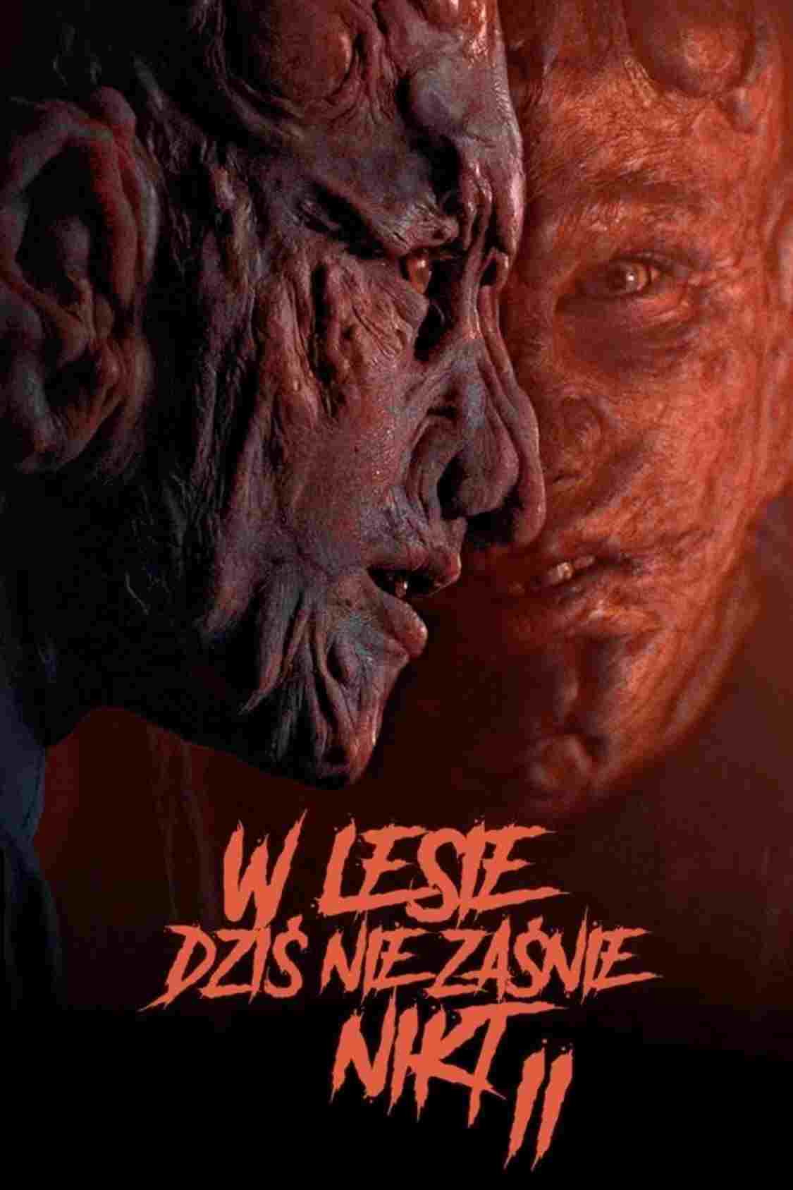 W lesie dziś nie zaśnie nikt 2 oglądaj online za darmo