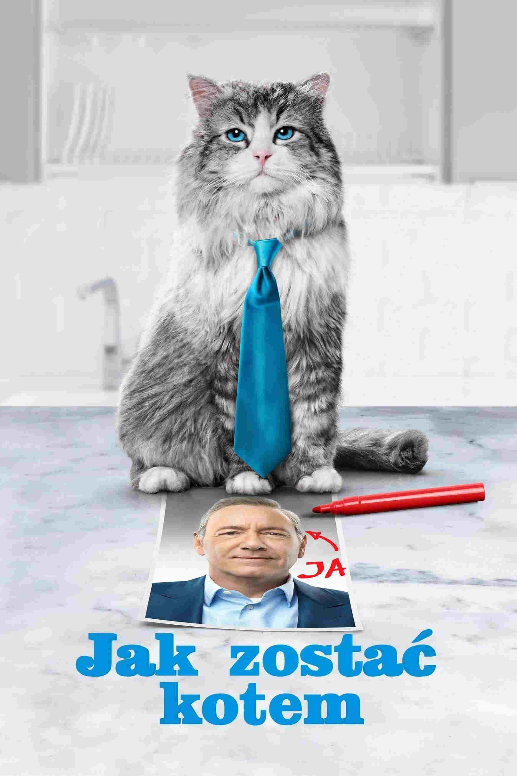 Jak zostać kotem Oglądaj w HD online