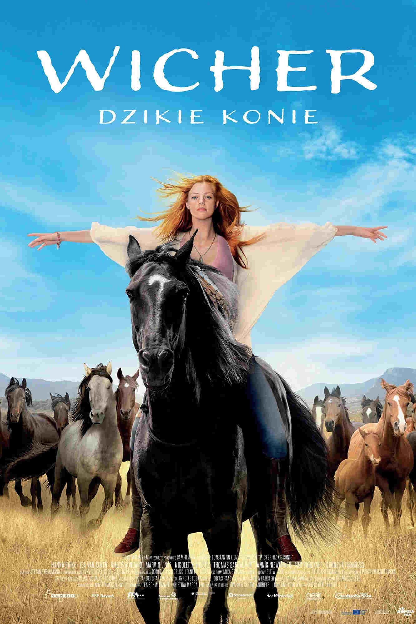 Wicher – dzikie konie Oglądaj w HD online