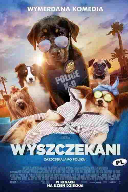Wyszczekani Oglądaj w HD online