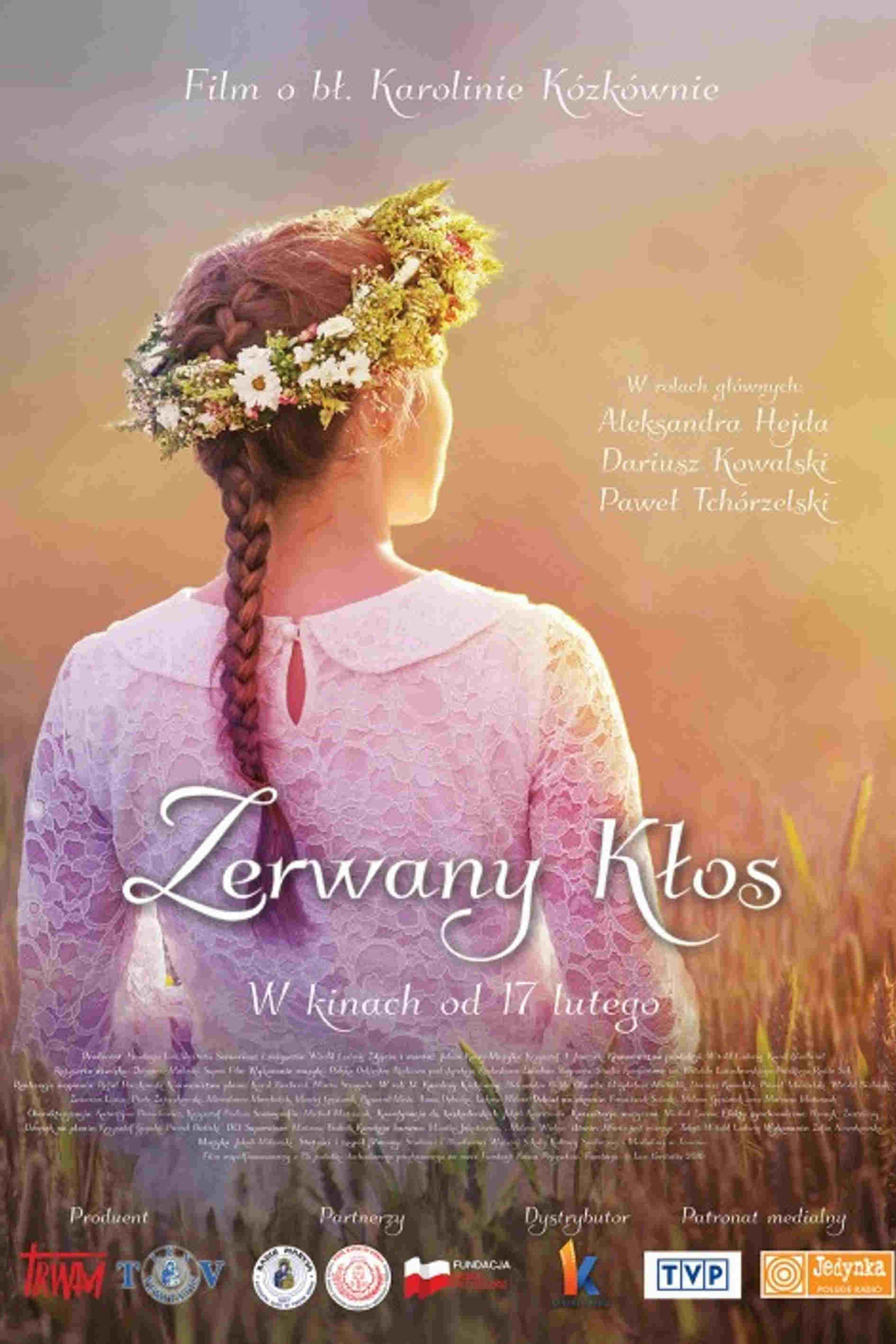 Zerwany kłos oglądaj online za darmo