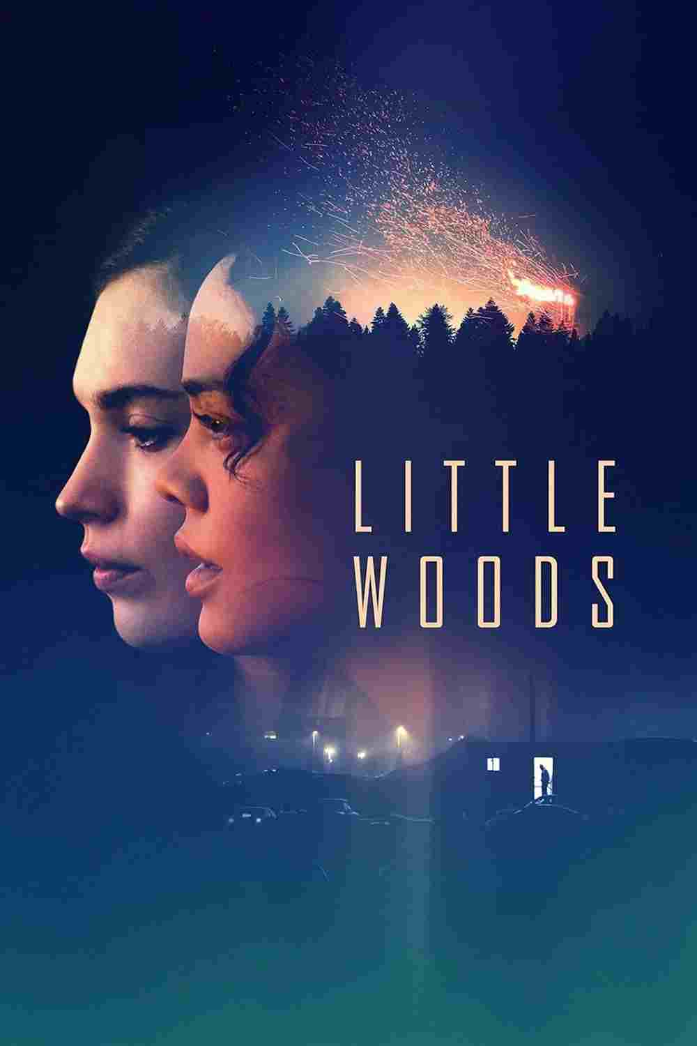 Little Woods oglądaj online za darmo