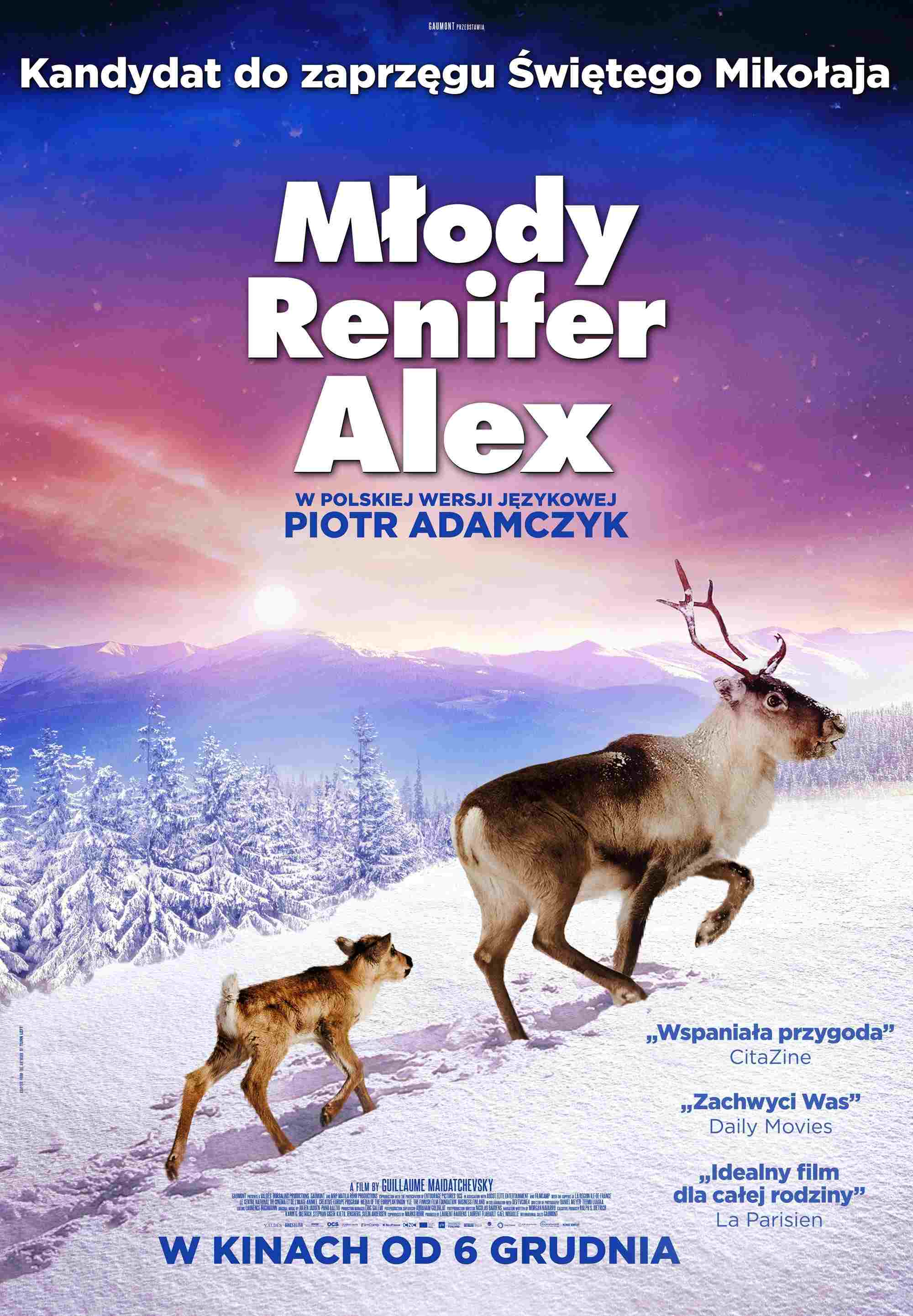 Młody renifer Alex Oglądaj w HD online