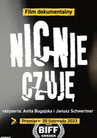 Nic nie czuję Oglądaj w HD online