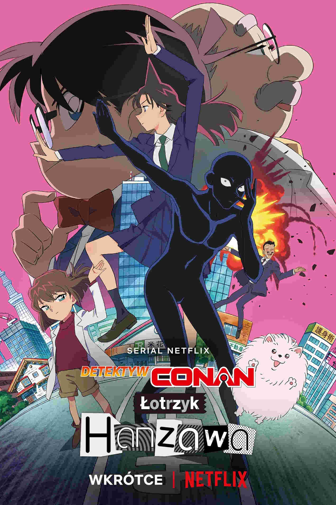 Detektyw Conan: Łotrzyk Hanzawa Oglądaj w HD online
