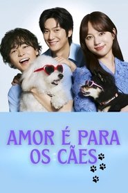 Love Is for the Dogs Oglądaj w HD online