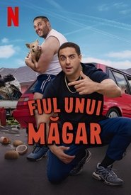 Syn osła Oglądaj w HD online