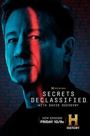 David Duchovny: Archiwum tajemnic Oglądaj w HD online