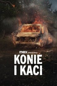 Konie i kaci Oglądaj w HD online