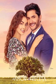 Na miłość nie ma recepty