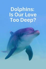 Dolphins: Is Our Love Too Deep? Oglądaj w HD online