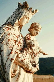 Sugarcane: rozliczenie z przeszłością