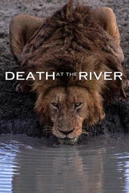 Rzeki Afryki: życie lub śmierć Oglądaj w HD online