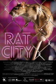 Rat City Oglądaj w HD online