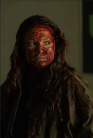 To nie jest test Oglądaj w HD online