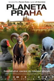 Planeta Praha Oglądaj w HD online