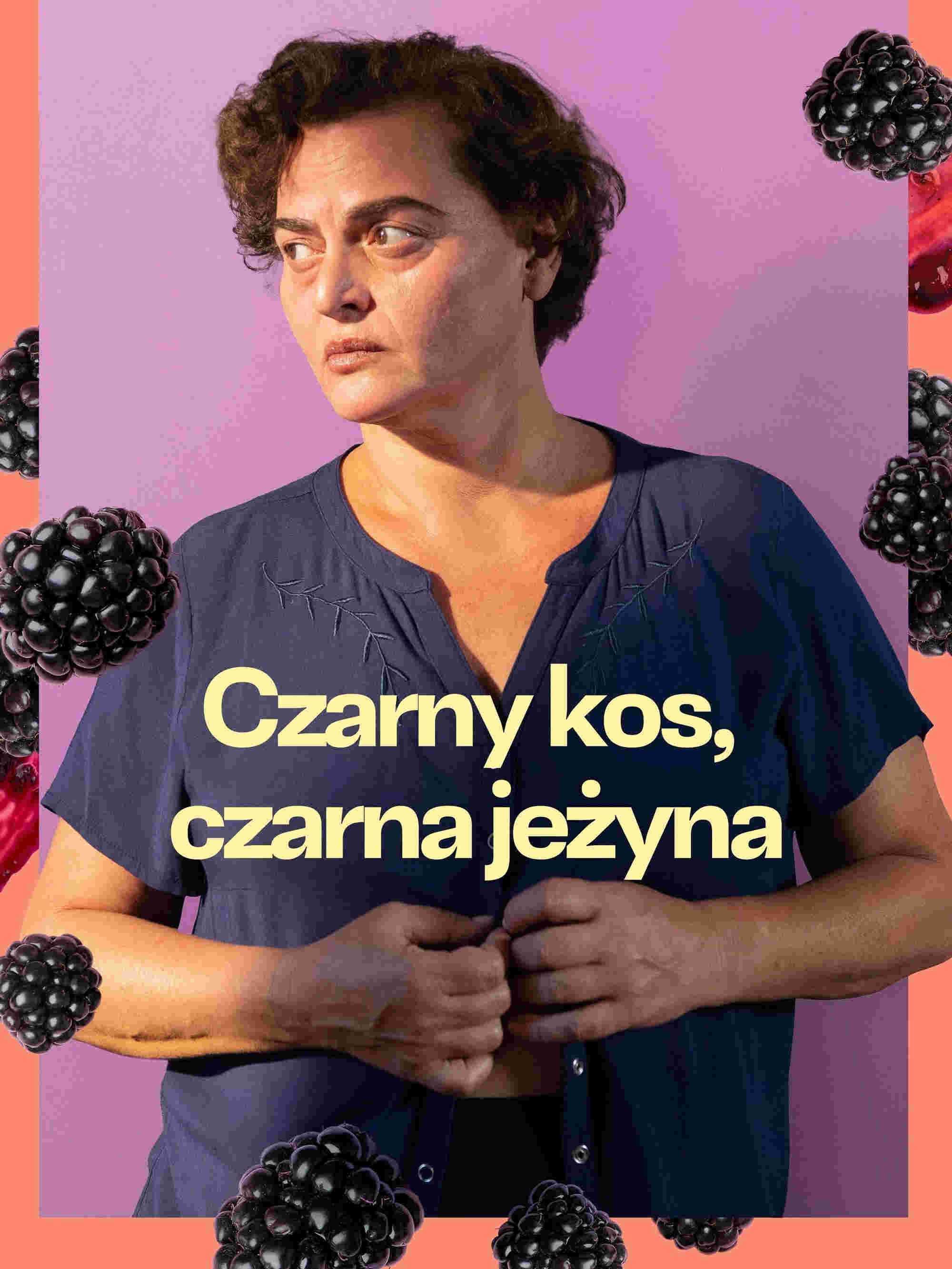  Czarny kos, czarna jeżyna  Oglądaj w HD online