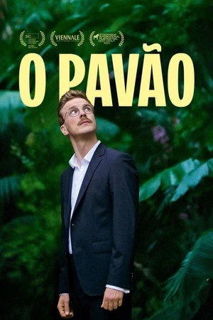 Paw zwyczajny Oglądaj w HD online