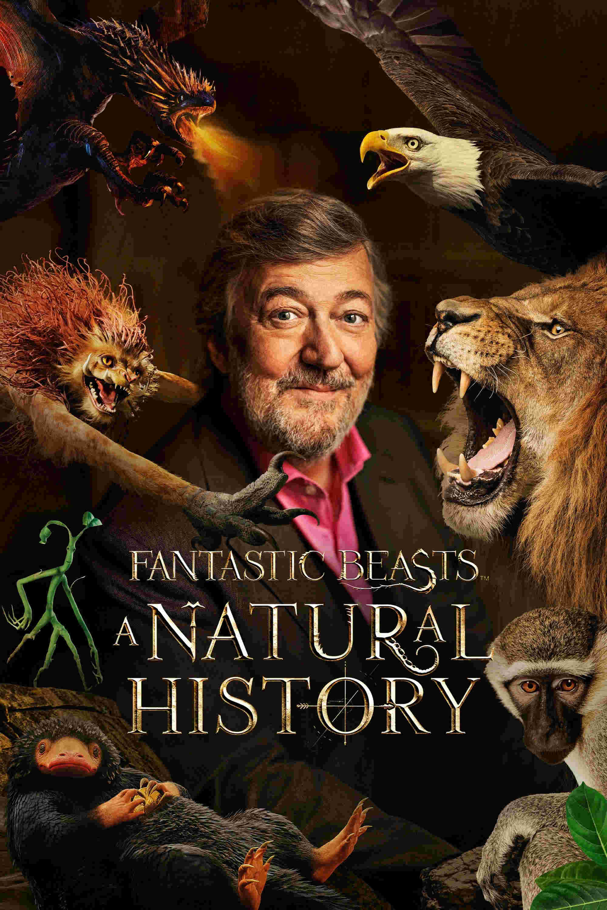  Fantastyczne zwierzęta: Historia naturalna  Oglądaj w HD online