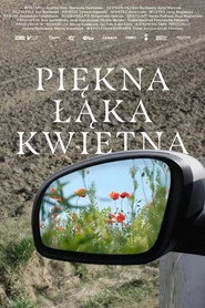 Piękna łąka kwietna Oglądaj w HD online
