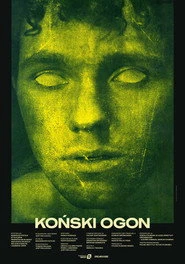 Koński ogon Oglądaj w HD online