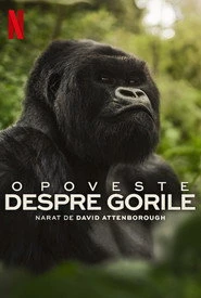 David Attenborough: Opowieść o gorylach Oglądaj w HD online